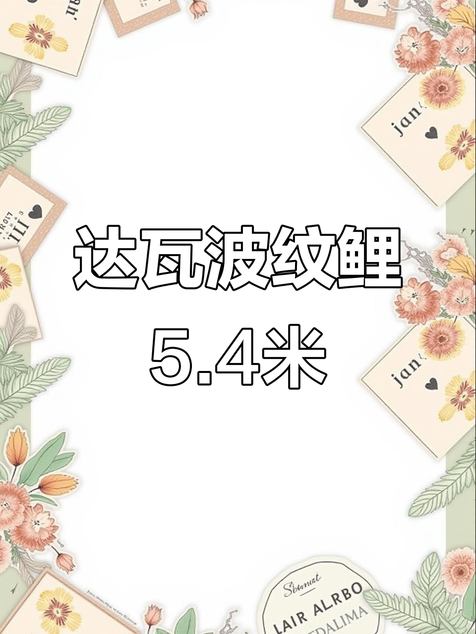 达瓦波纹鲤5.4米:轻巧耐用,完美搭配日本渔具