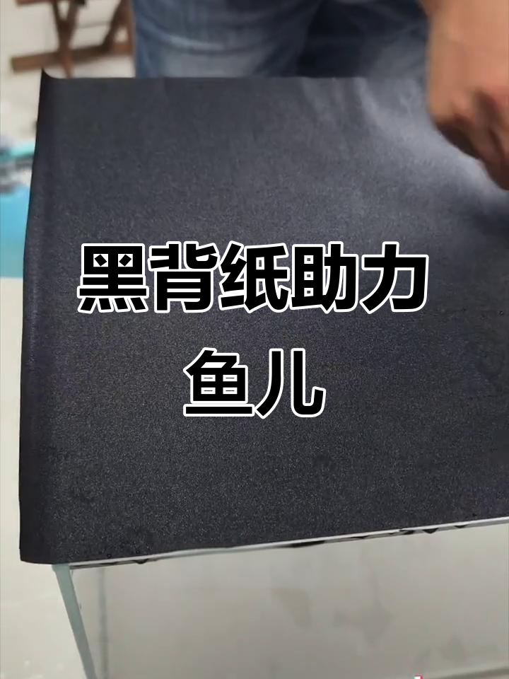 黑色背景纸让鱼儿更适应环境,发色更好,减少跳缸风险