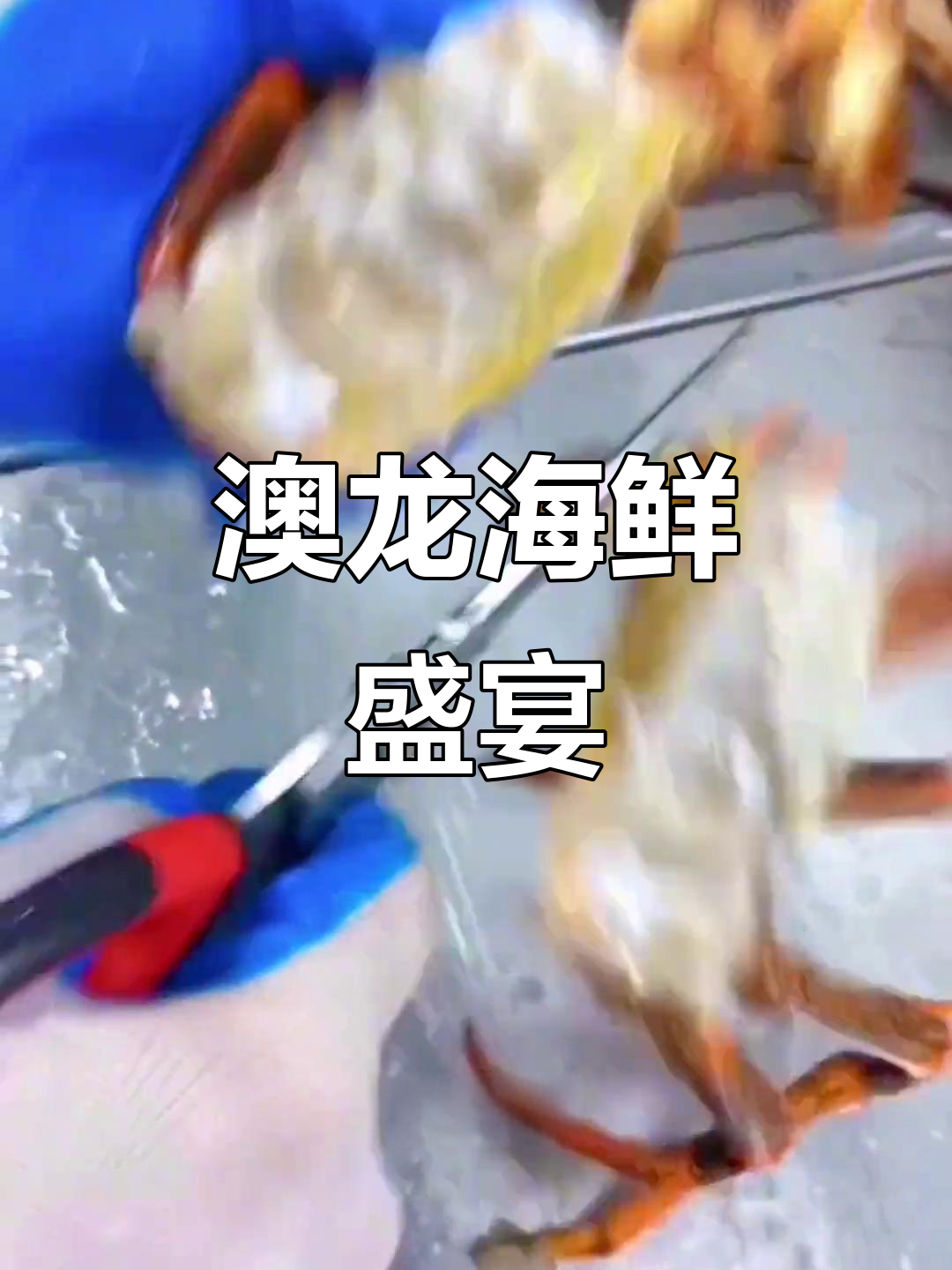 澳龙海鲜大餐，招牌美味不容错过