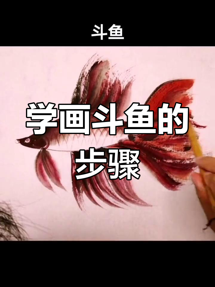 斗鱼画法全解析,轻松掌握细节与技巧