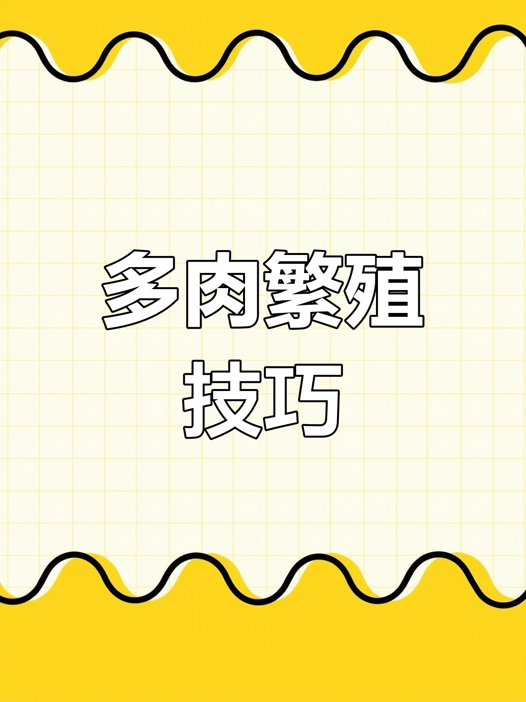 钱串扦插轻松学,多肉繁殖新方法!