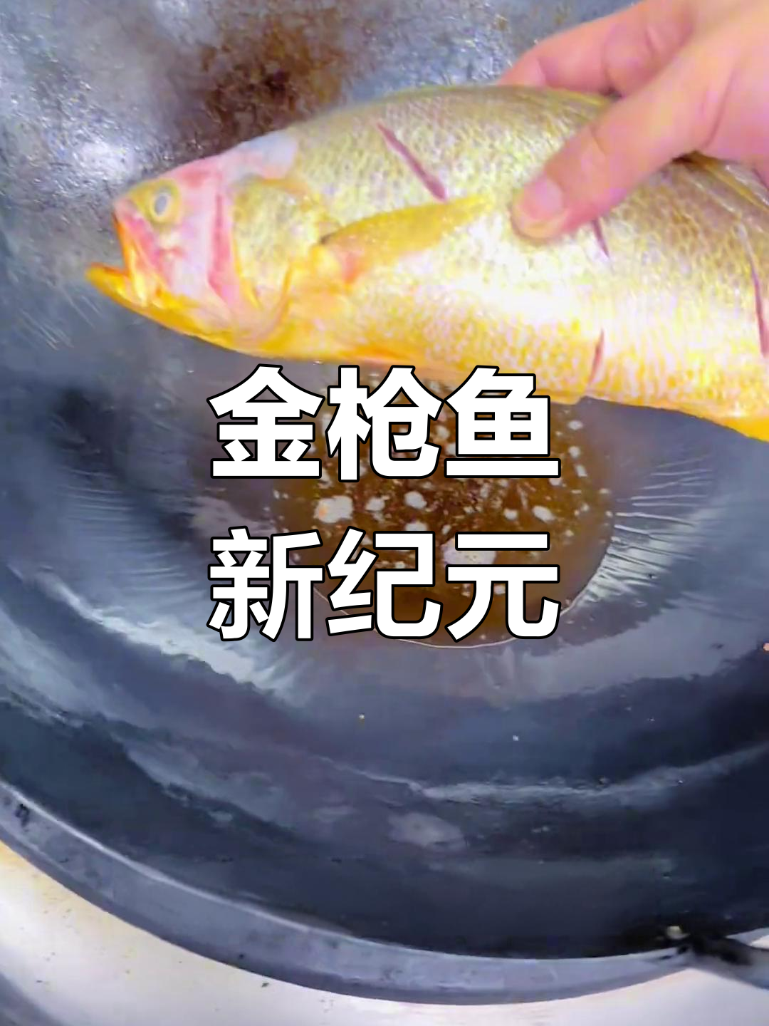 新纪录!全球最大蓝鳍金枪鱼捕获,震撼登场