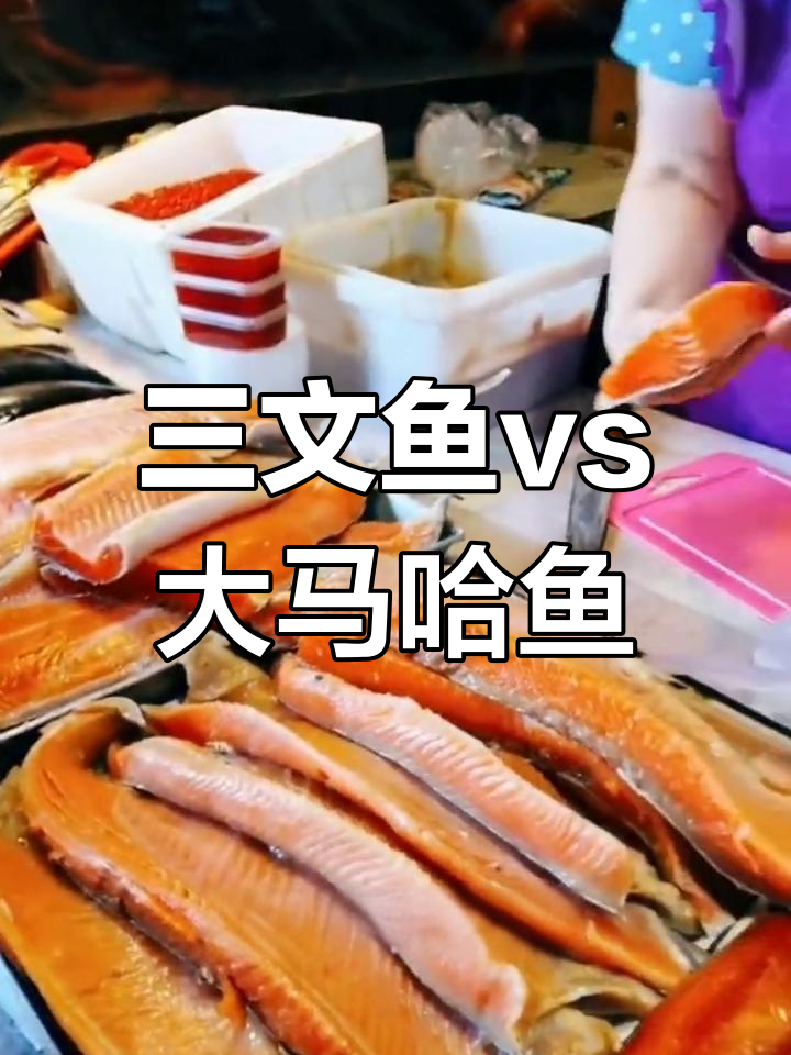 大马哈鱼与三文鱼的差异解析
