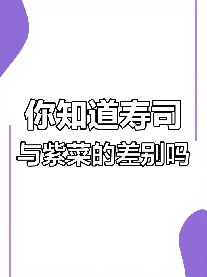 寿司和紫菜包饭到底有啥不同?你了解吗?