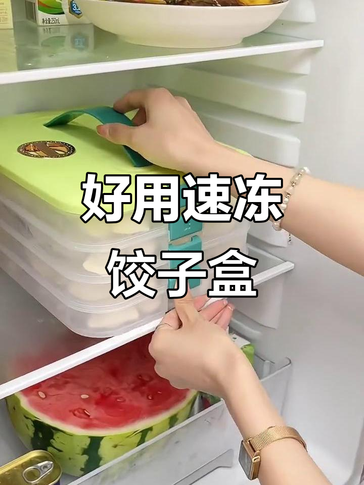 速冻饺子盒,保鲜又方便,30个轻松放