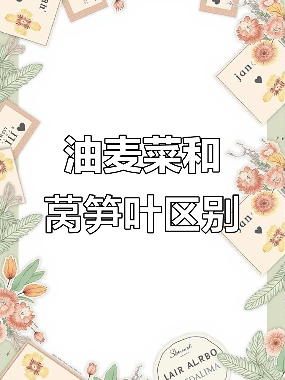 油麦菜与莴笋叶的区别，炒出清脆嫩绿口感