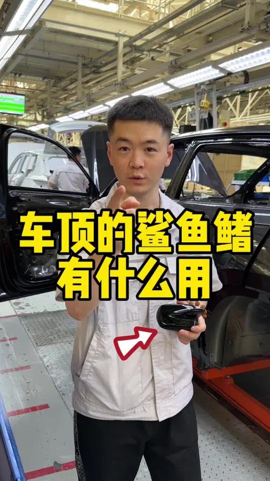 车顶的鲨鱼鳍原来不只是装饰!开了这么多年车今天才知道!汽车知识 带你懂车 新手上路 鲨鱼鳍