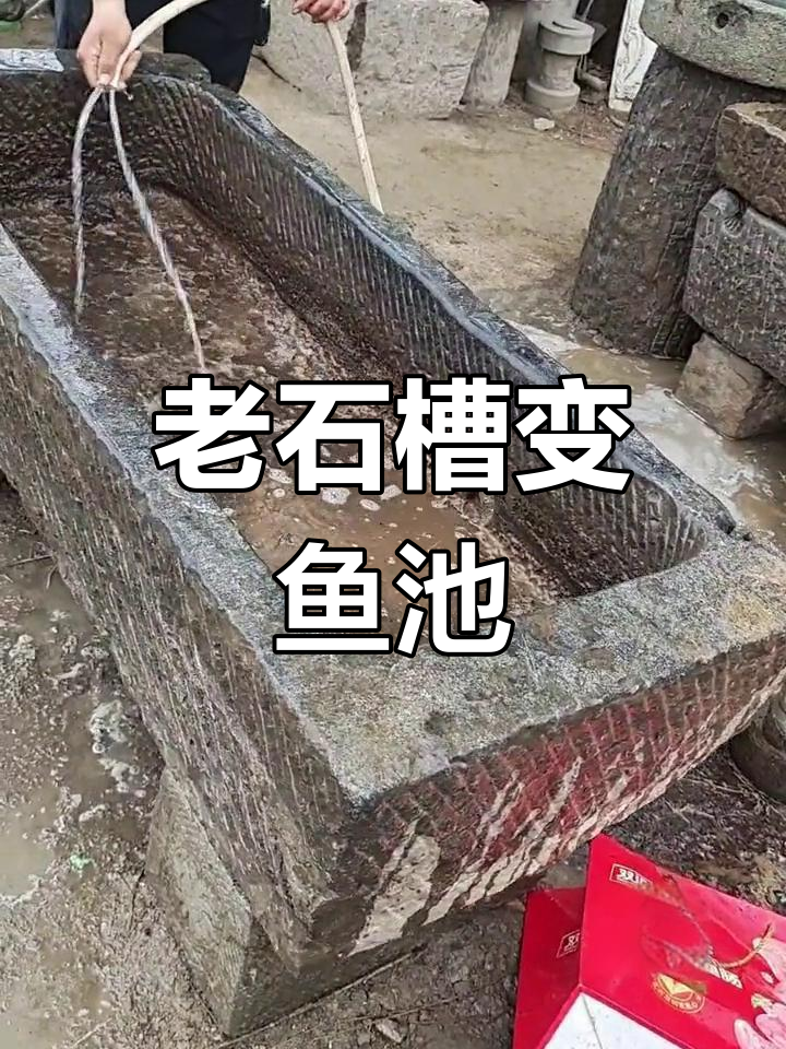 农村老石槽变身养鱼池,庭院设计新风尚