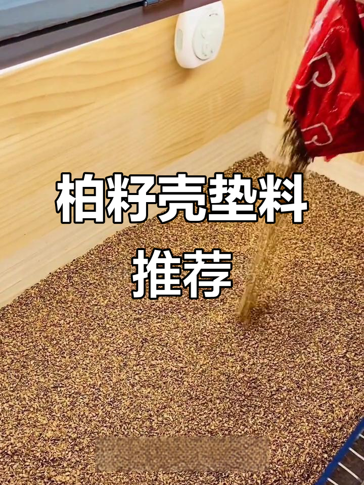 柏籽壳垫料,除臭又防尘,室内养鸡必备!