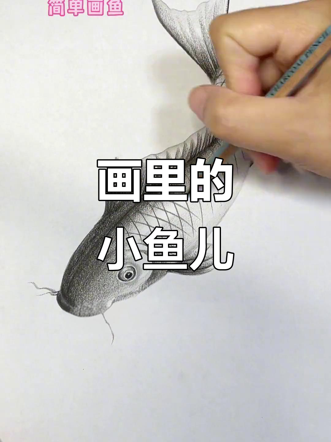 画中游动的鱼,带你进入奇妙世界