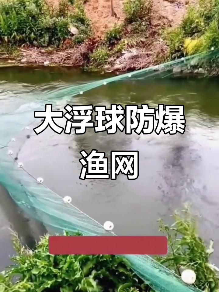 拦河网一放，鱼儿全进不出！捕鱼高手现场演示