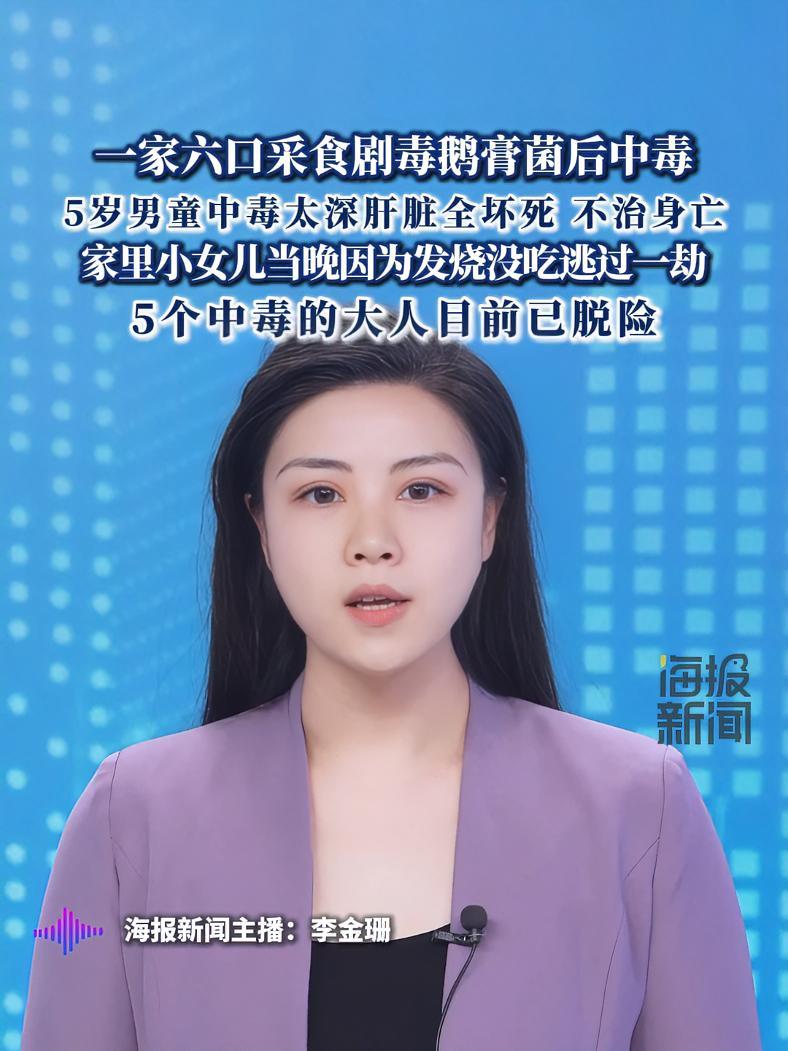 一家六口采食剧毒鹅膏菌后中毒,5岁男童不幸去世