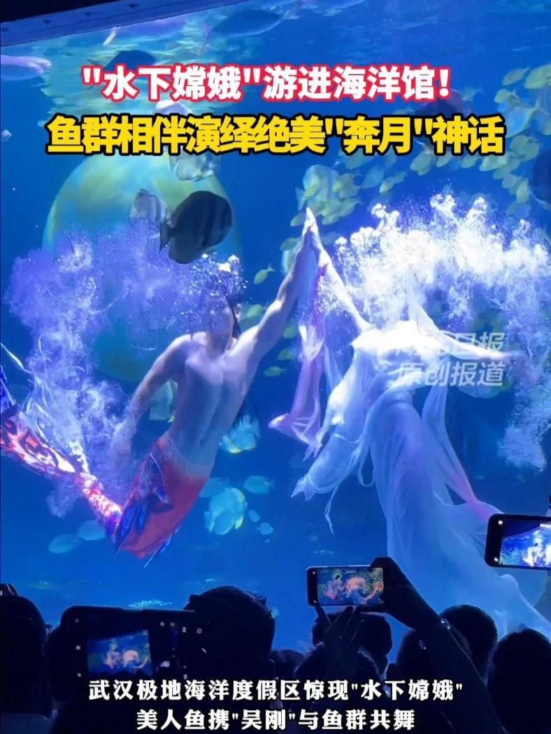 武汉极地海洋度假区惊现“水下嫦娥”!美人鱼携“吴刚”与鱼群共舞,环绕水中圆月演绎奔月神话,