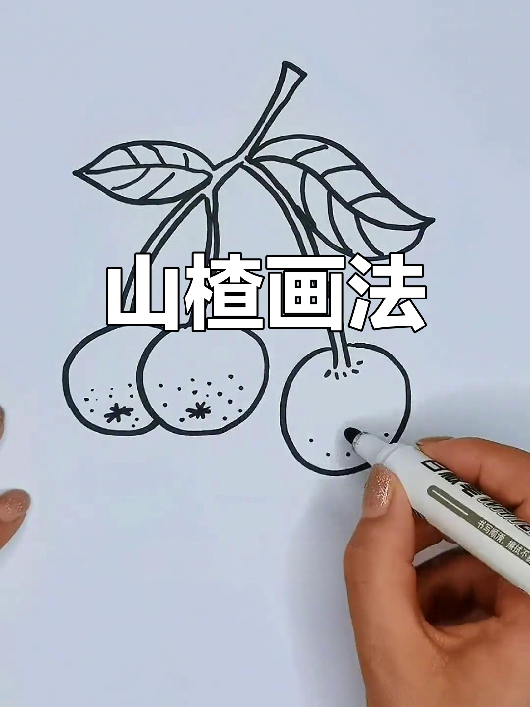 简单山楂简笔画教程