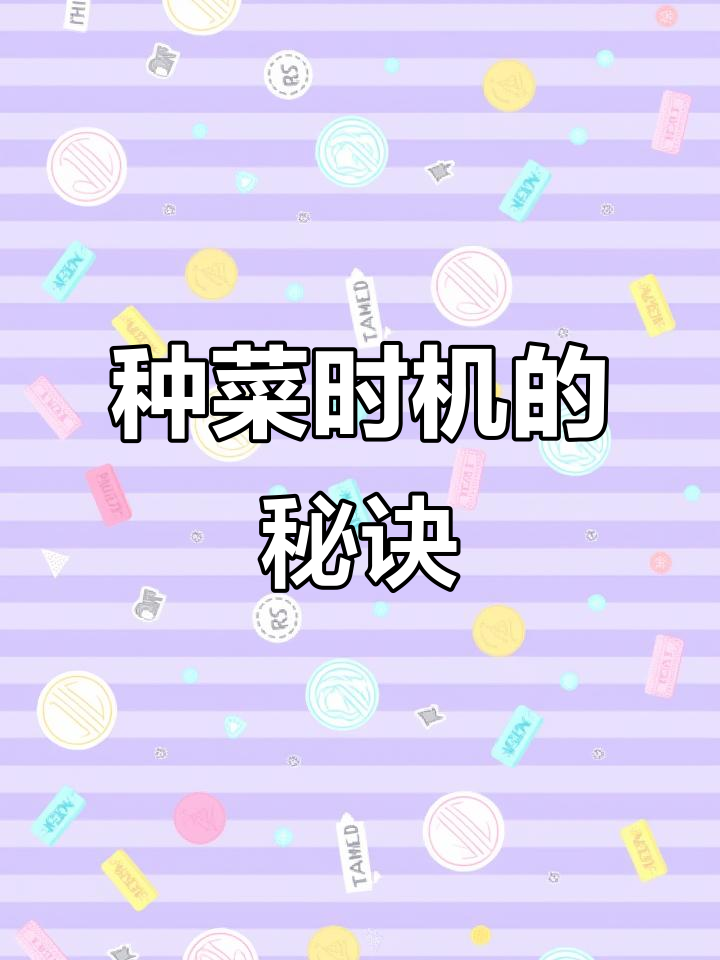 白菜萝卜种植时机,避免早种导致问题