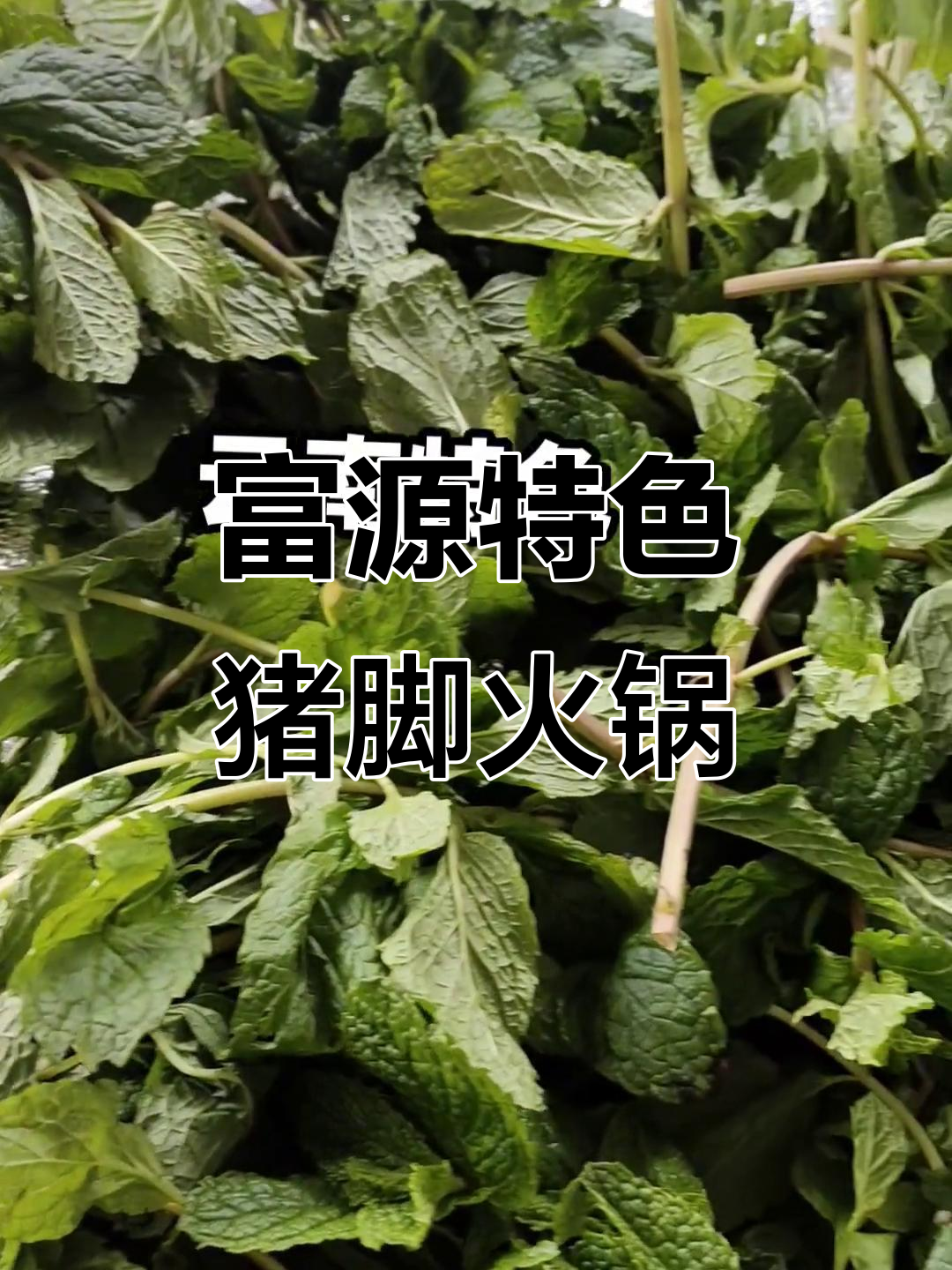 富源脆皮酸菜猪脚火锅,薄荷香气扑鼻而来