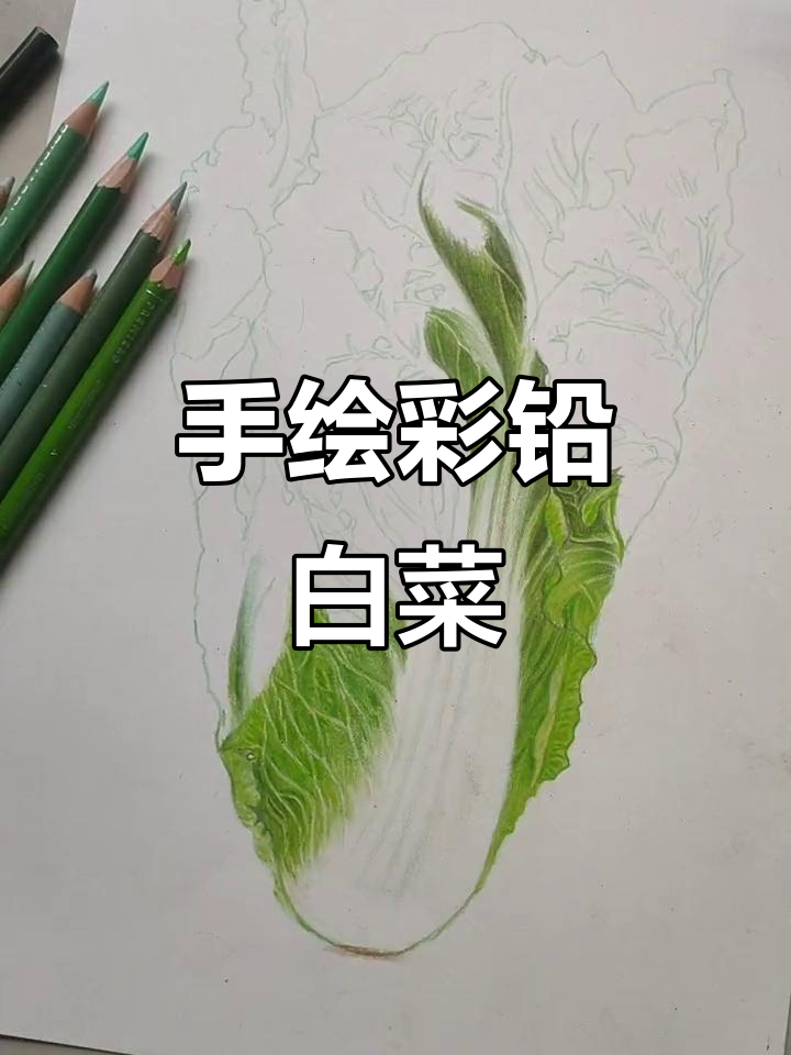 彩铅手绘白菜，步骤详解
