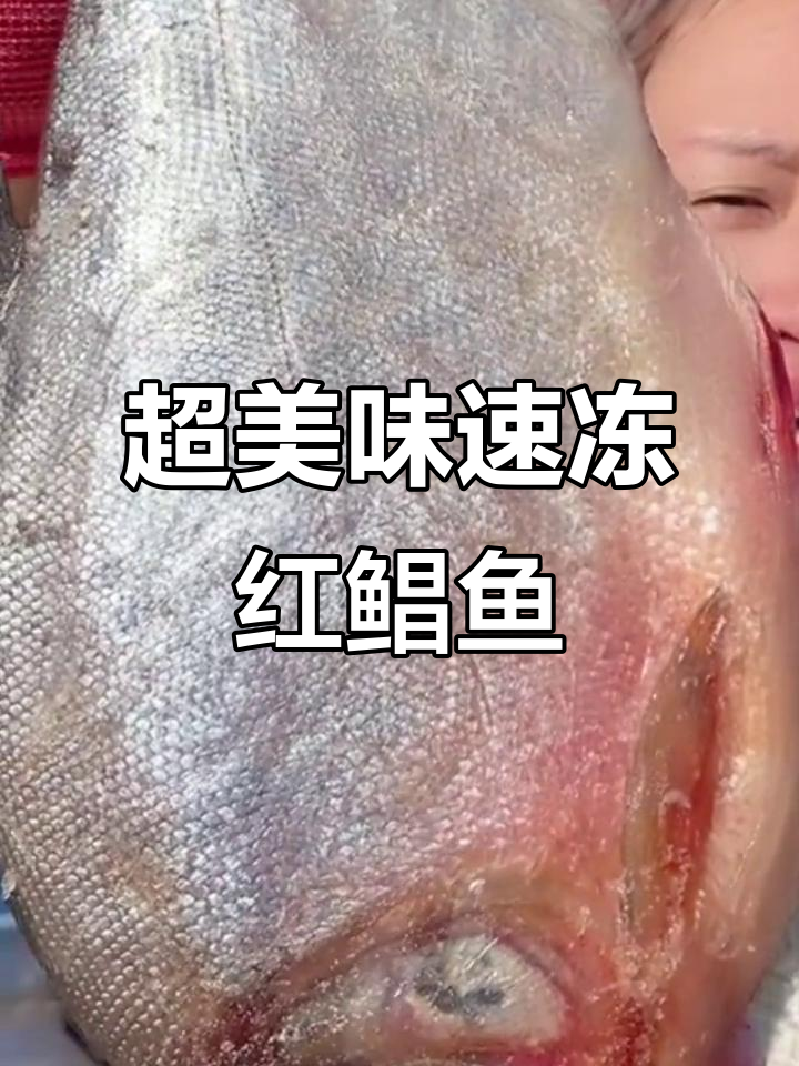 鲜活速冻红鲳鱼,肉厚刺少,清蒸红烧都美味