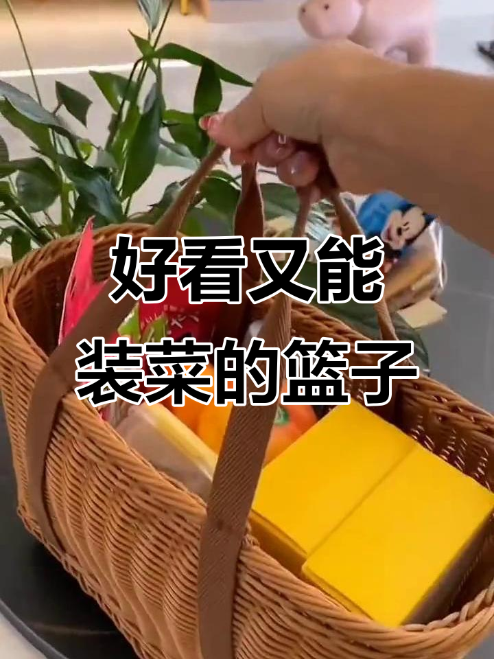 这个菜篮子既美观又实用,买菜必备回头率超高!