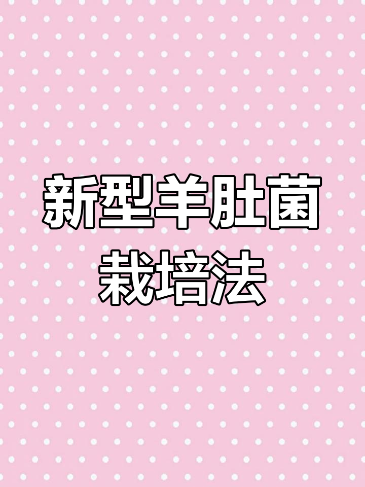 羊肚菌无土栽培技术突破