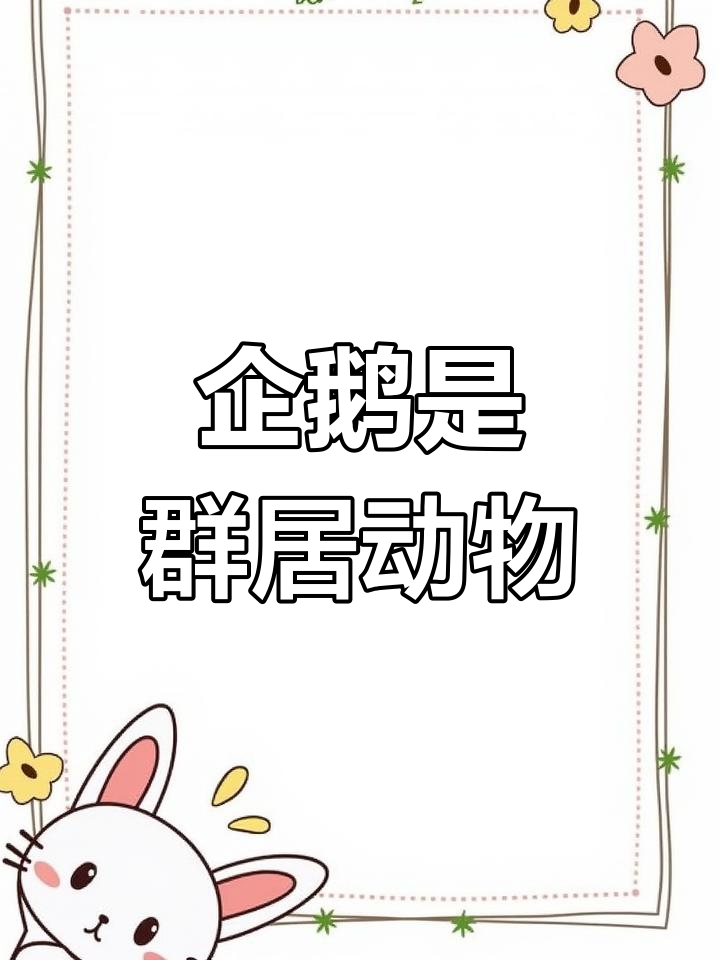 企鹅为何喜欢群居?南极冰山上的壮观景象