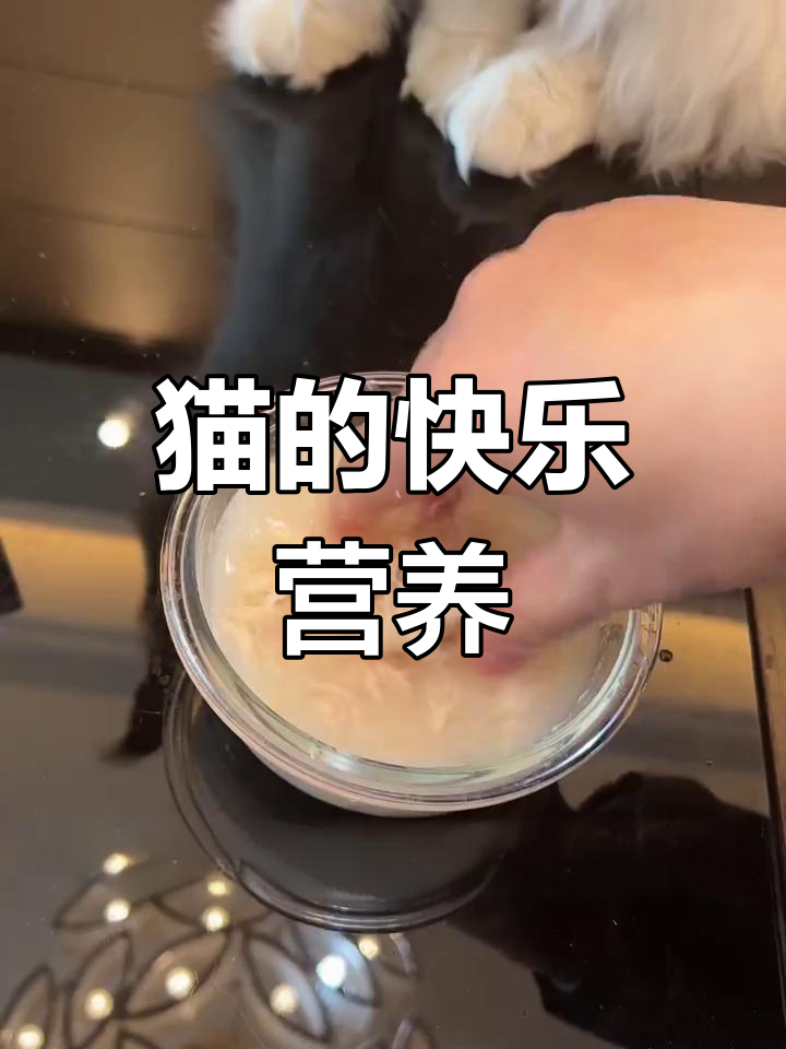一块鸡胸肉,让小猫咪开心又健康!