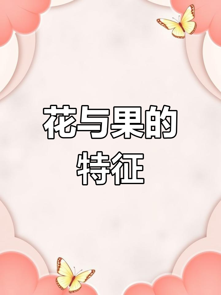 茎有细纹,叶圆齿锯状;花紫红,小坚果黄褐色