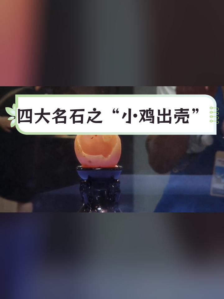 内蒙古沙漠奇石“小鸡出壳”惊艳现世
