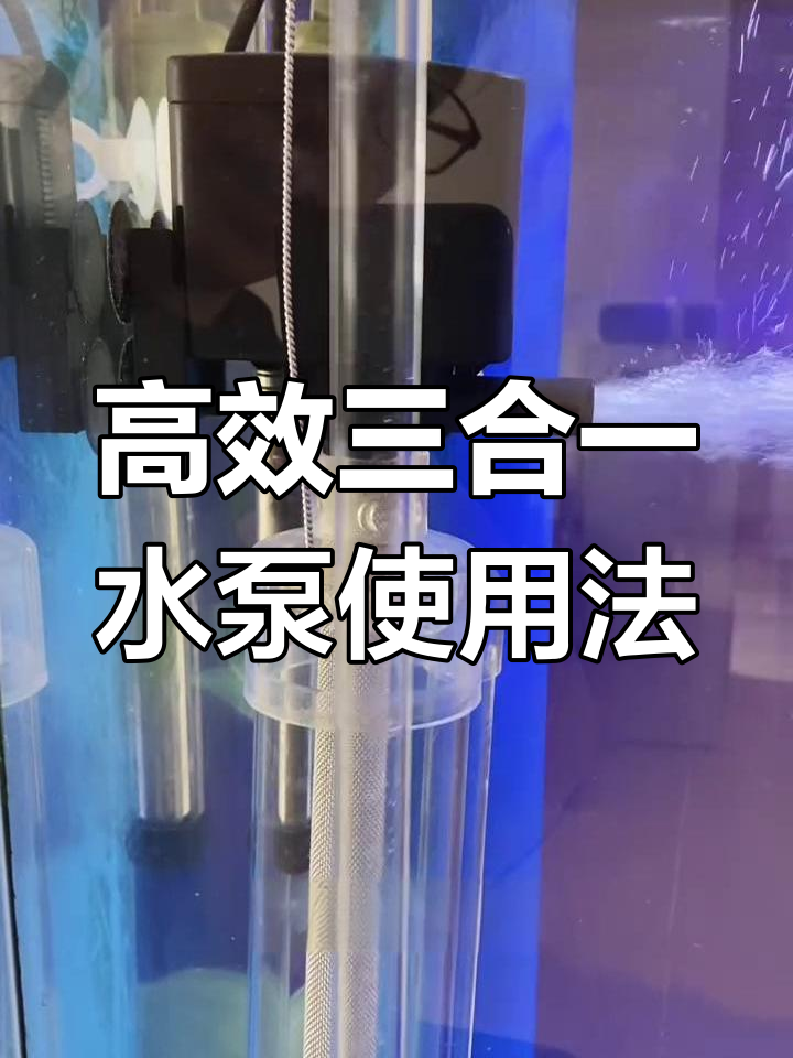 1月三合一水泵巧妙搭配,鱼便清理更轻松