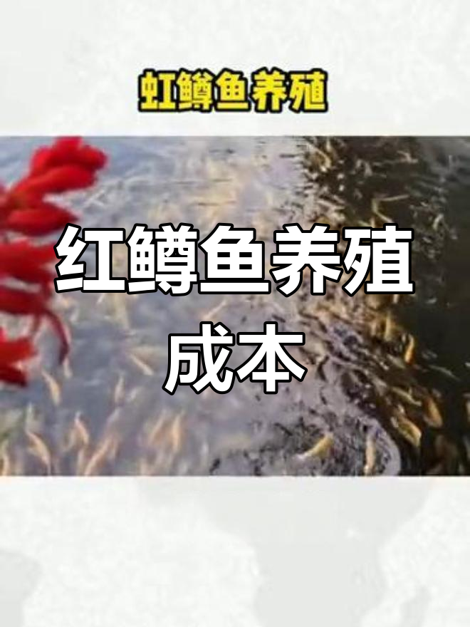 红鳟鱼养殖成本与效益分析:从水质到饲料管理全解析