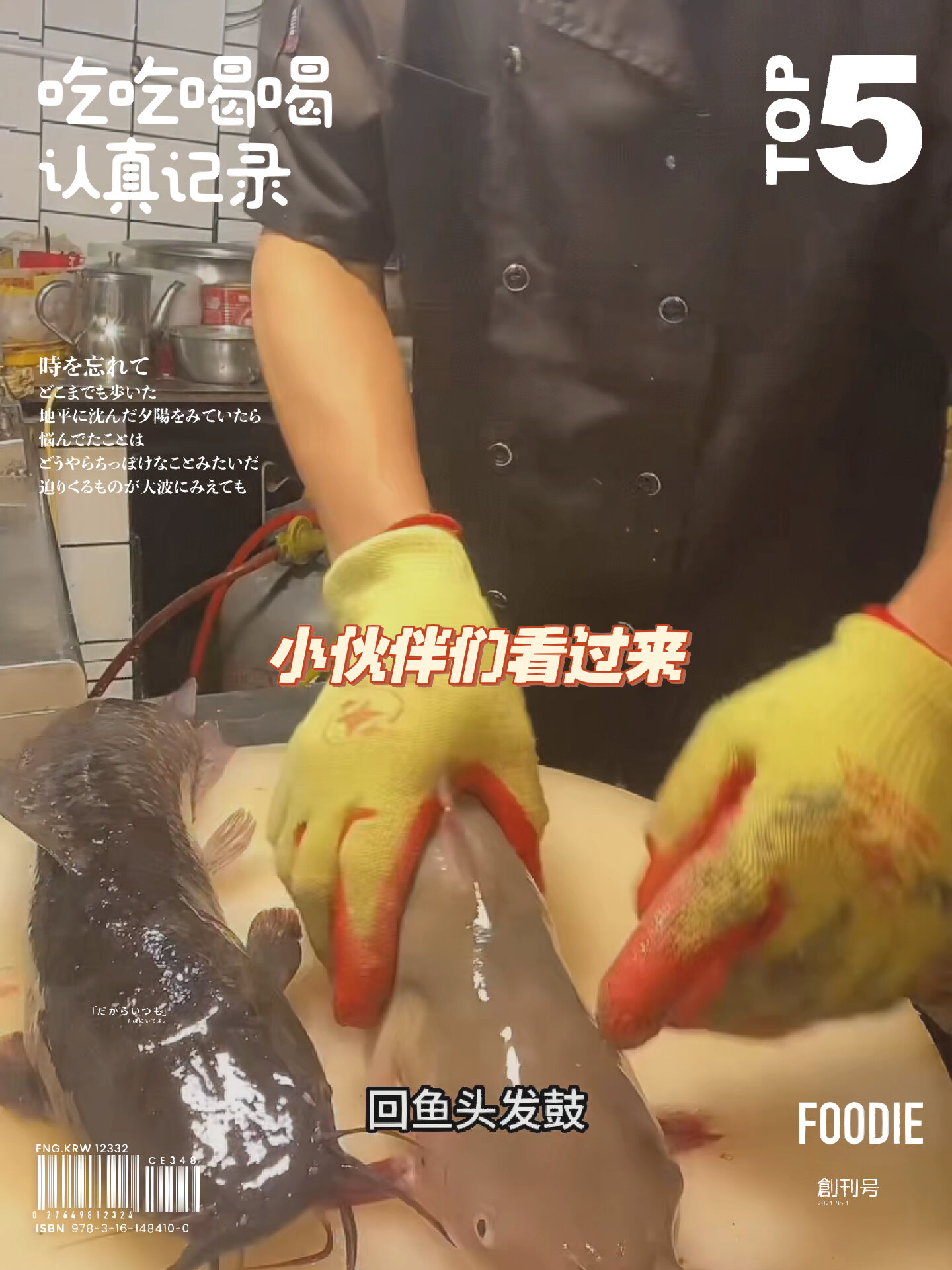 回鱼鲶鱼你能分清吗,你能找到几处不同?