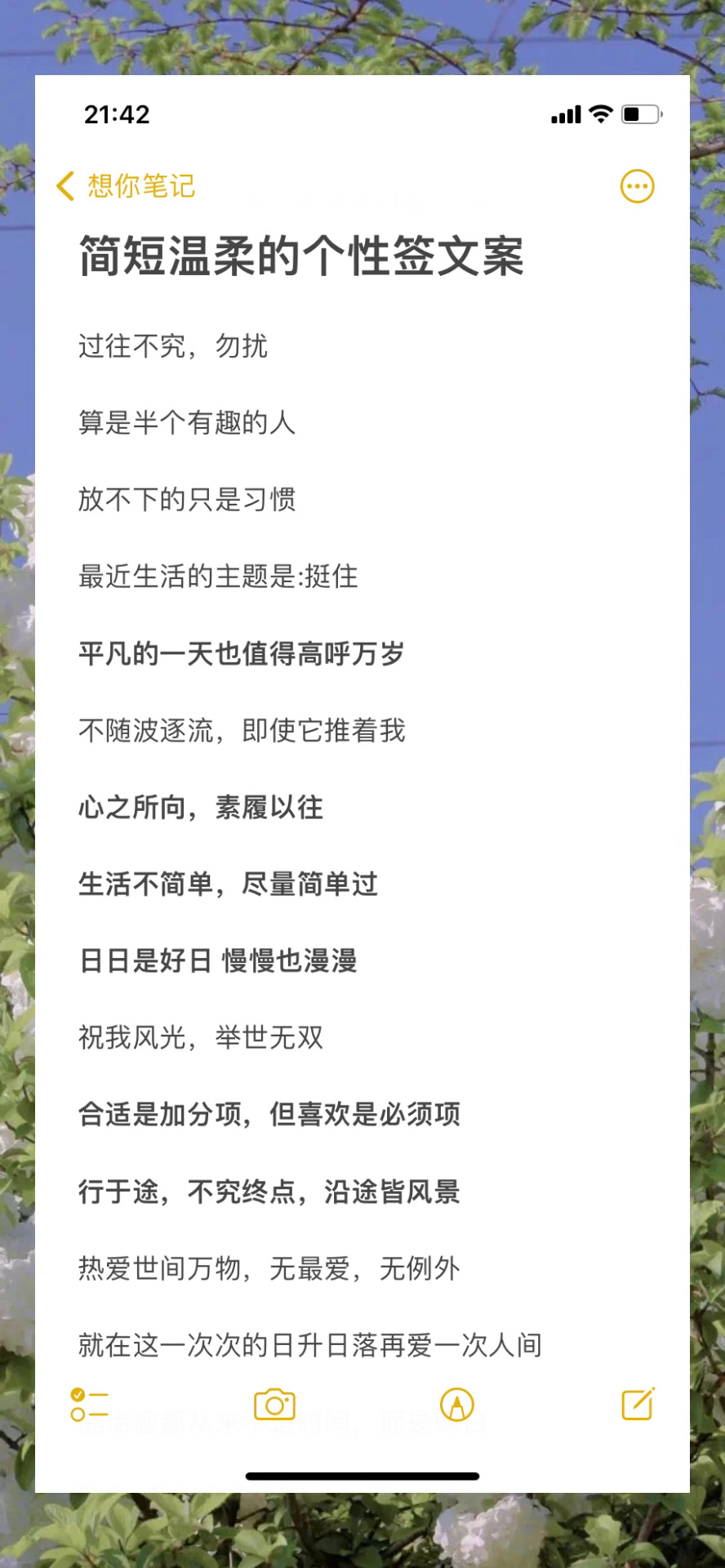 简短温柔的个性签文案