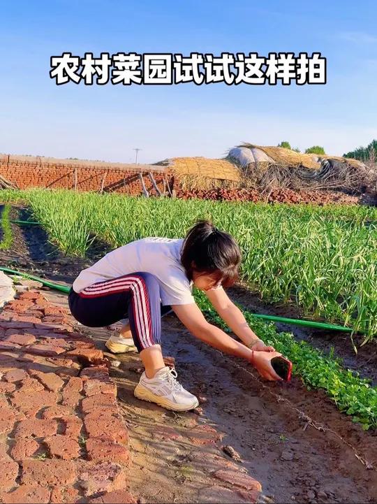 生活不只有诗和远方,还有老家的田园菜地!农村菜园试试这样拍