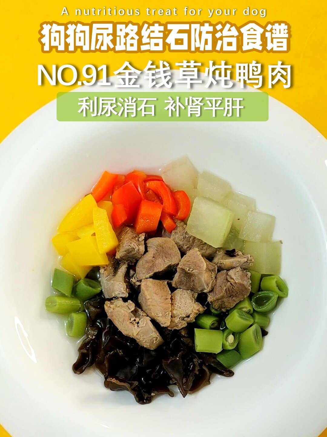 NO.91狗狗尿路膀胱结石调养食谱