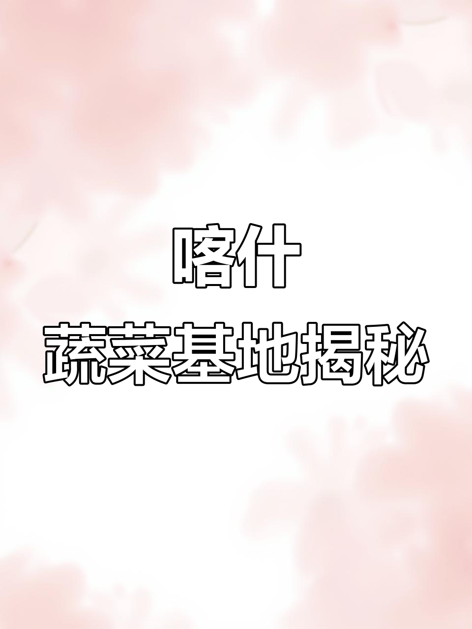 探访喀什蔬菜绿色种植基地,大棚里的秘密你了解吗?