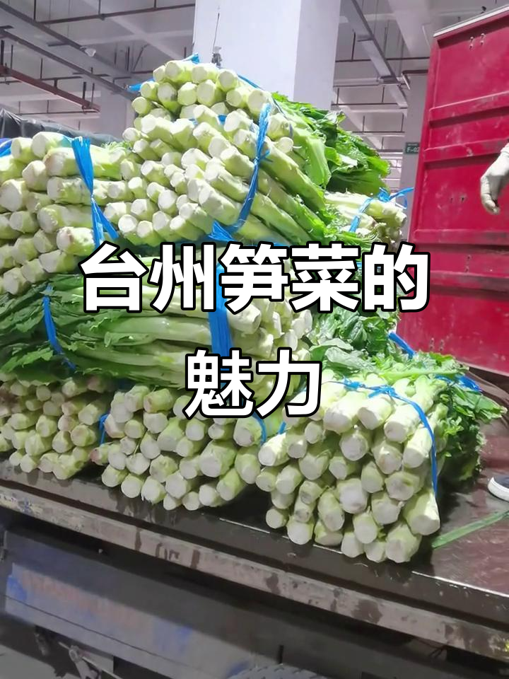 台州笋菜的美味秘密,品质与诚信的完美结合