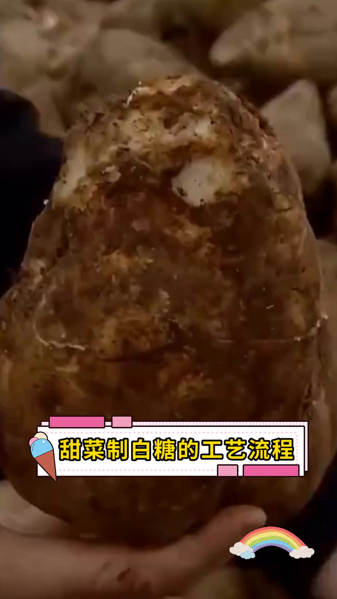 甜菜制白糖的工艺流程