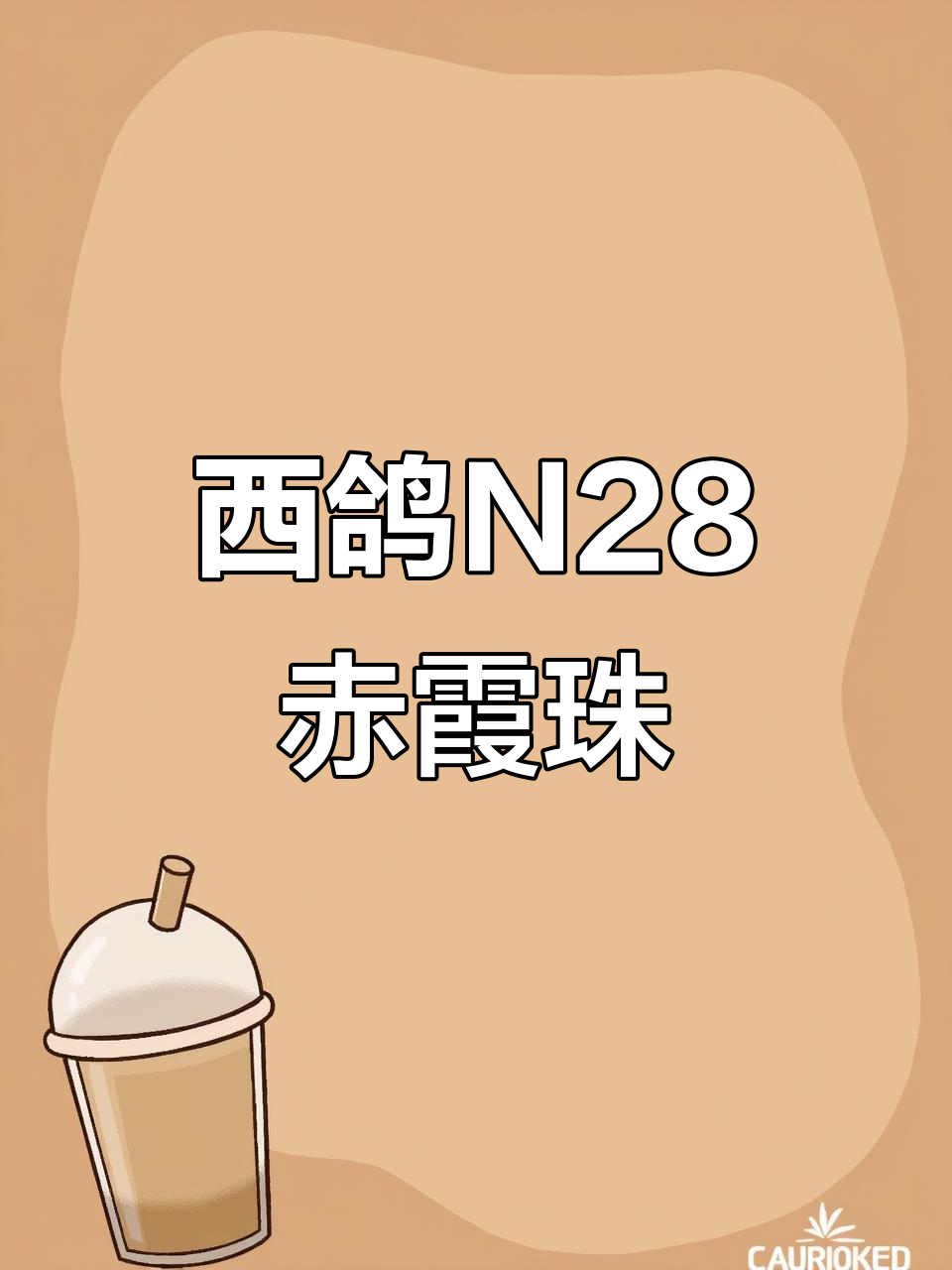 宁夏贺兰山东路风土酿造,西鸽N28赤霞珠干红葡萄酒的完美呈现