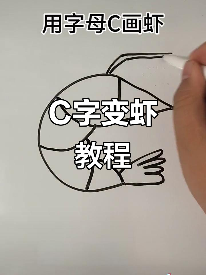 用字母C画可爱小虾,简单又好玩