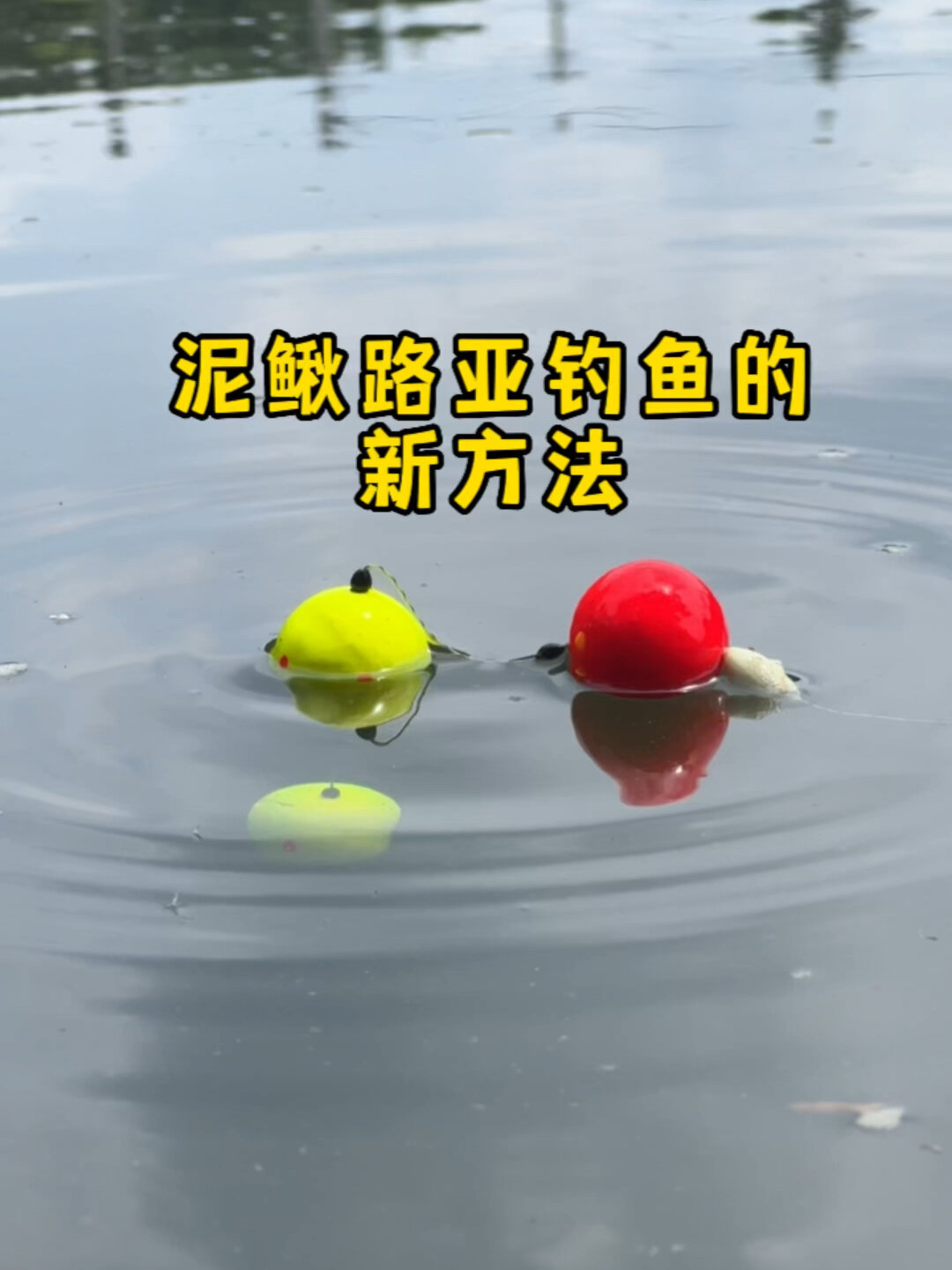 泥鳅路亚钓鱼的新方法