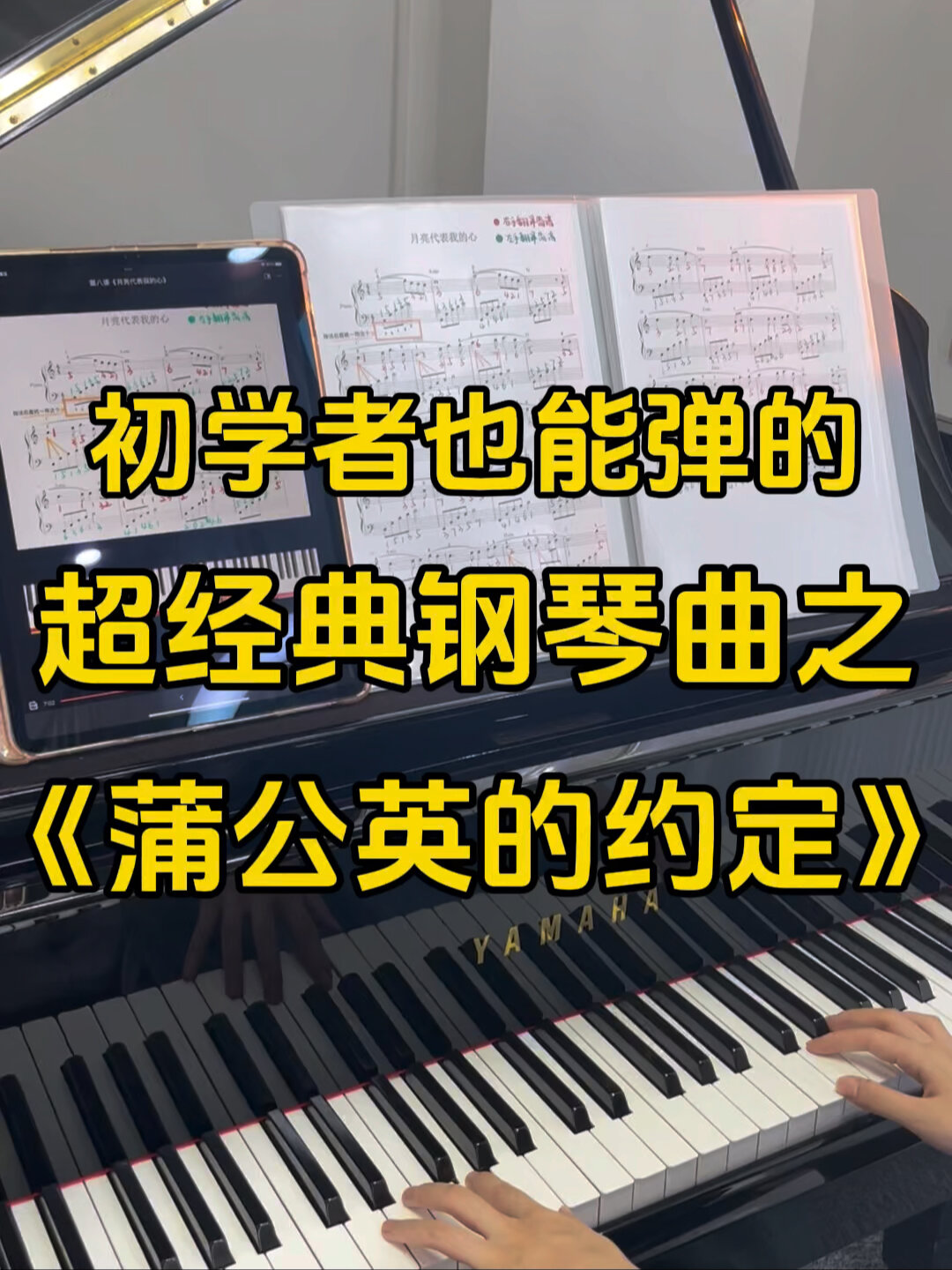 初学者就能弹的30首钢琴曲《蒲公英的约定》