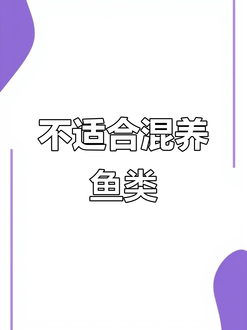 八大不适合混养的观赏鱼，大铅笔和招财猫最凶猛