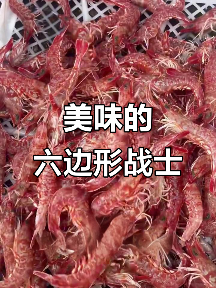 樱花虾既美又味,其他美味虾你推荐哪些?