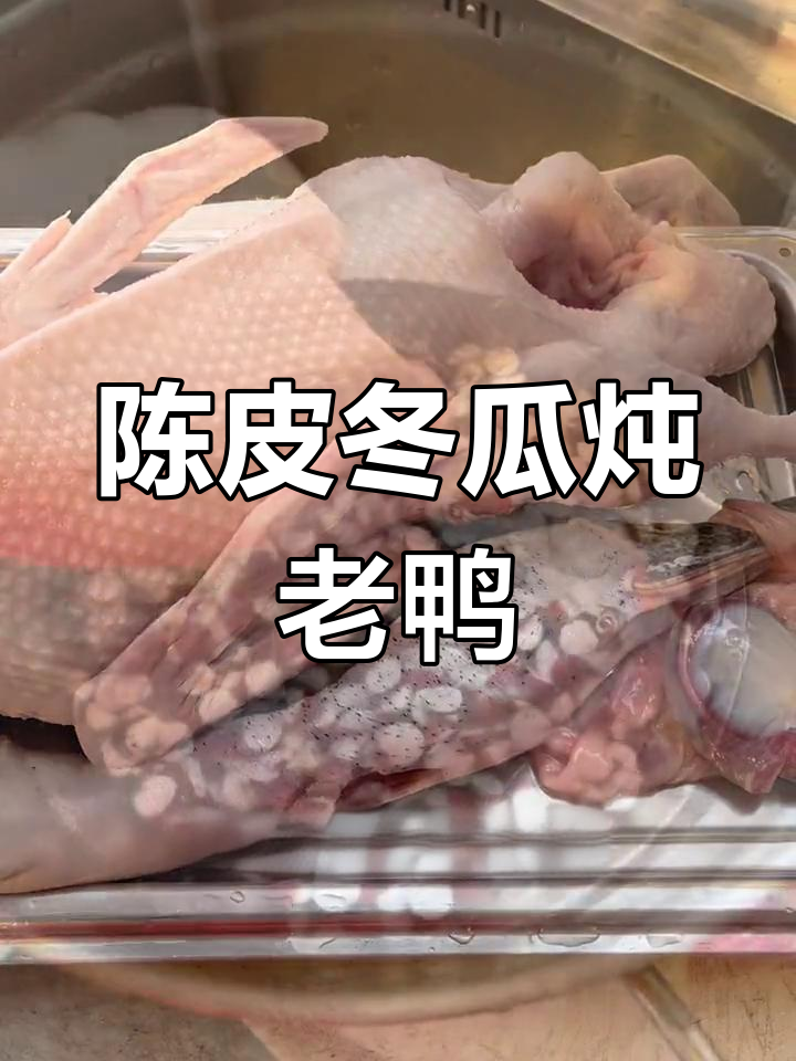 夏日必备!陈皮肇实冬瓜煲老鸭,清爽又滋补