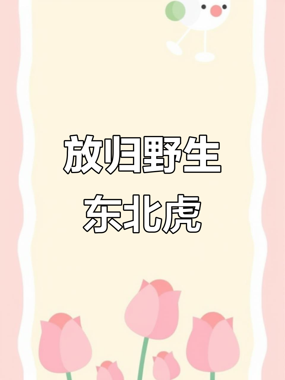 5月18日黑龙江密山放归野生东北虎