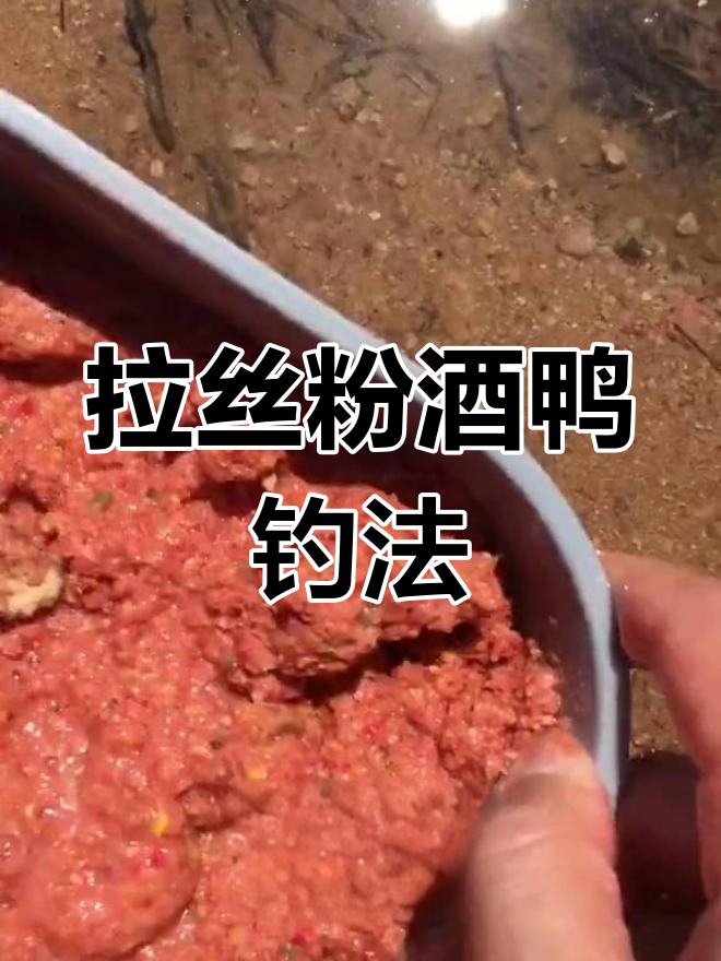 细鳞鱼最佳饵料配方