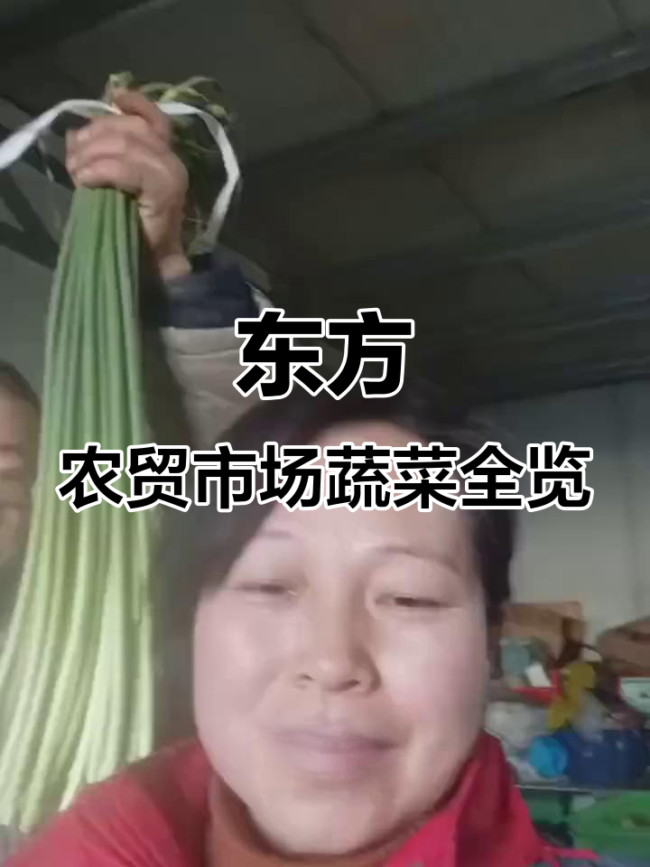张家口东方农贸市场:新鲜蔬菜品种丰富,本地与外地菜一应俱全