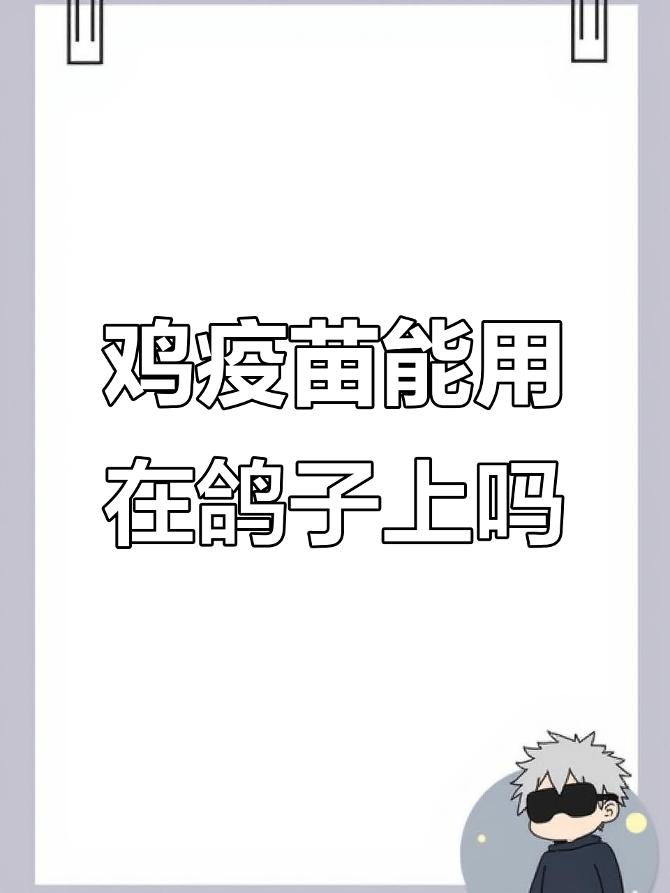 鸡疫苗能用来给鸽子接种吗?效果如何