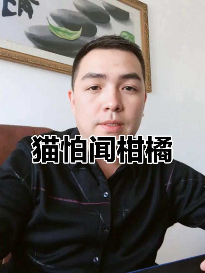 猫咪为何讨厌柑橘味?原来是这样!