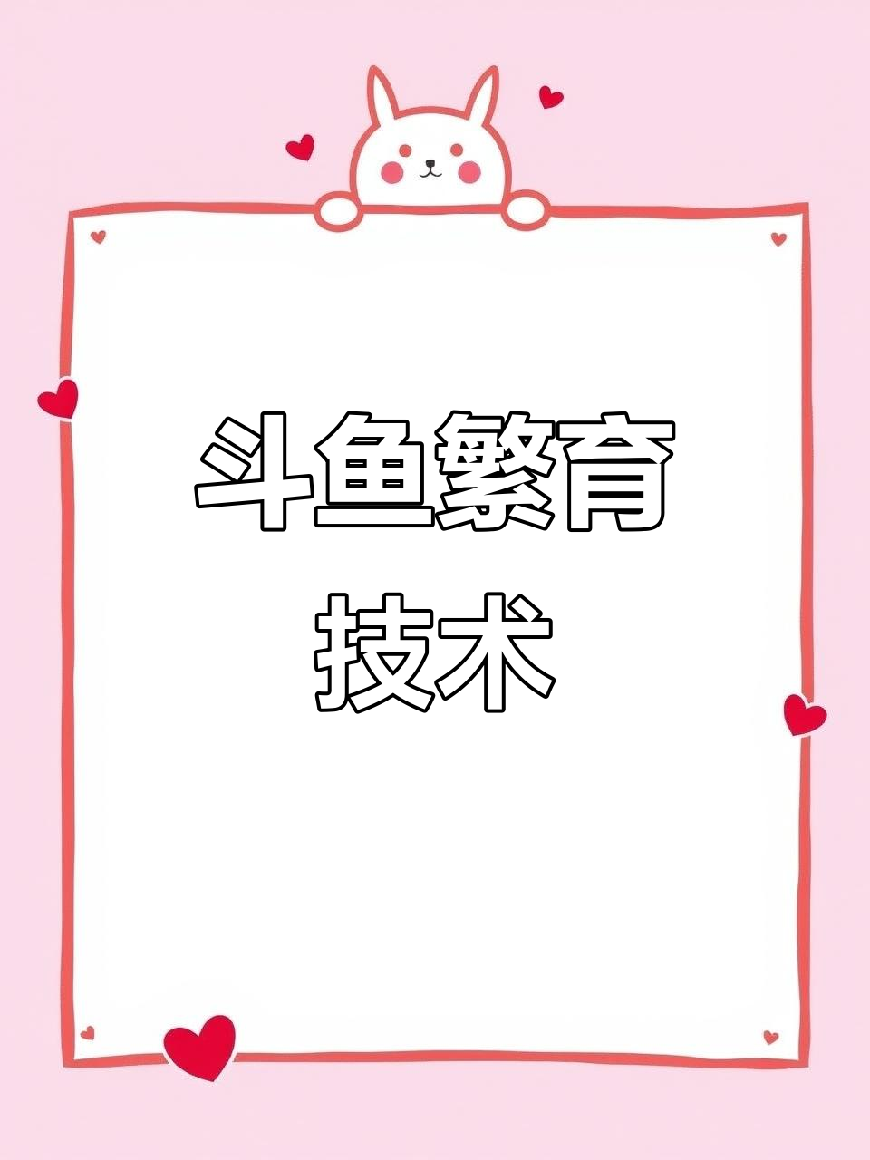 中国斗鱼繁殖技巧大揭秘,如何让爱好变成生活